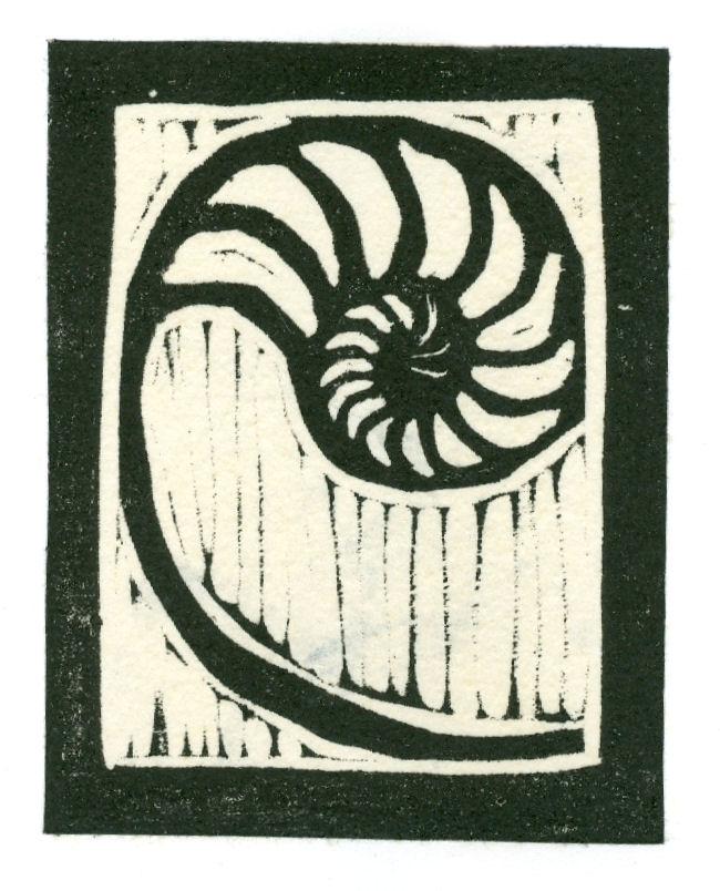 Fine Nautilus (Block Print)